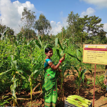 Socio-economic improvement is now achievable for Odisha