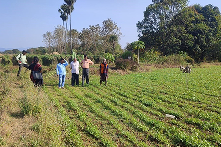 Scientists from various institutions visit MSSRF field sites in Odisha