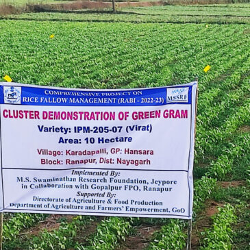Comprehensive Project on Rice Fallow Management